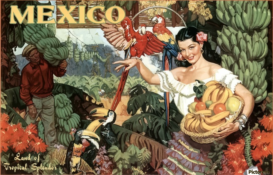 Mexico Land of Tropical Splendor by VINTAGE POSTER Wall Art